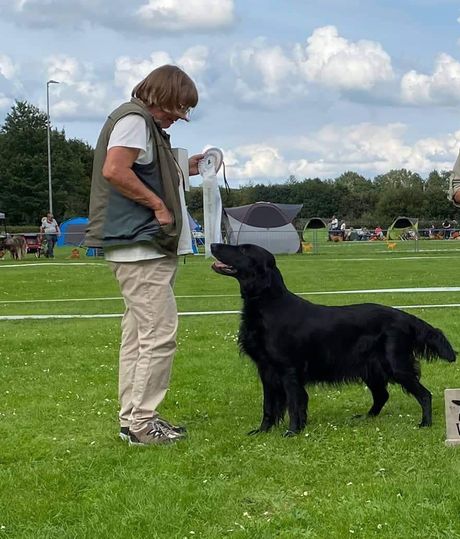 Rebel 10 jaar en beste veteraan en reserve kampioen bij de teven!